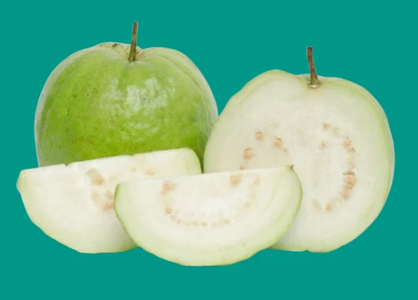 guava-fruit