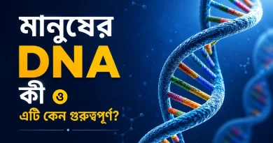 DNA কী