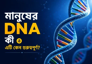 DNA কী