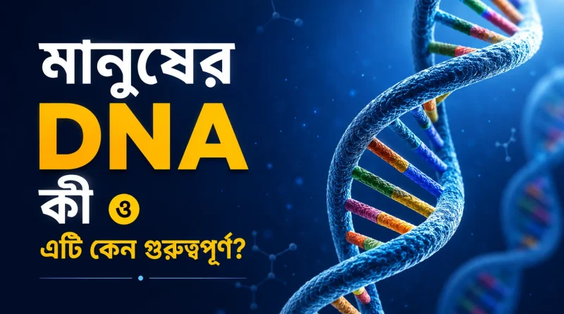 DNA কী