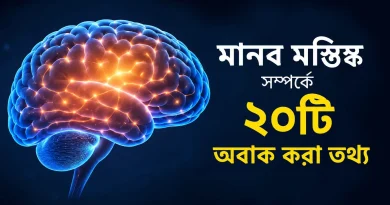 মানব মস্তিষ্ক সম্পর্কে ২০টি অবাক করা তথ্য