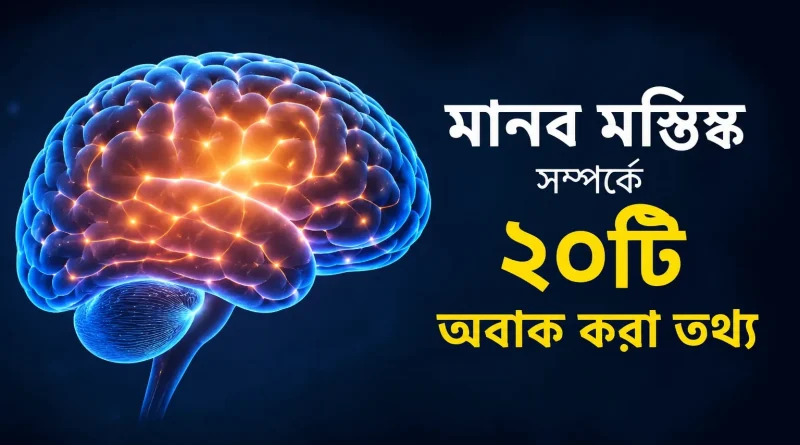 মানব মস্তিষ্ক সম্পর্কে ২০টি অবাক করা তথ্য